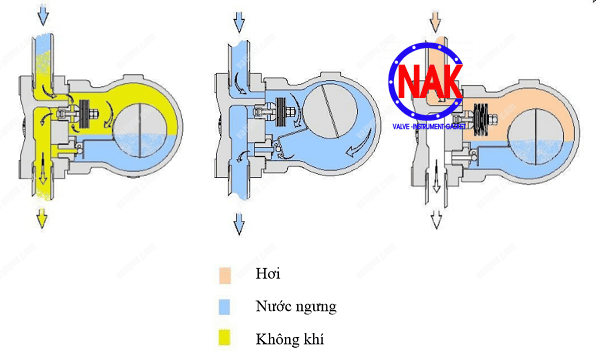 Bẫy hơi phao YNV Korea, Bẫy hơi bao tử YNV Korea