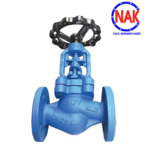 Giới Thiệu Van Cầu Hơi SOY SGV-16