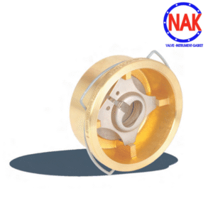 Giới Thiệu Van Một Chiều Đĩa Inox HELS HDC-77