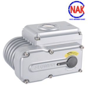 Giới Thiệu Bộ Điều Khiển Điện FLOWINN EOT10