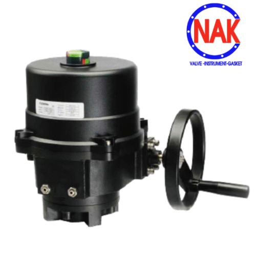 Giới Thiệu Động Cơ Điện Loại Cơ Bản FLOWINN EOM 2 đến 9