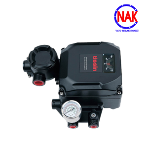 BỘ ĐỊNH VỊ VAN ĐIỀU KHIỂN ( E/P POSITIONER)