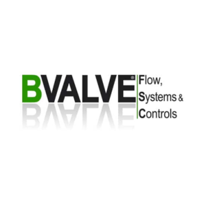 BVALVE