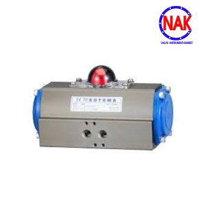 ĐẦU KHÍ NÉN DOUBLE ACTING