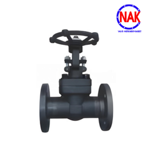 VAN CỔNG THÉP BÍCH PN40