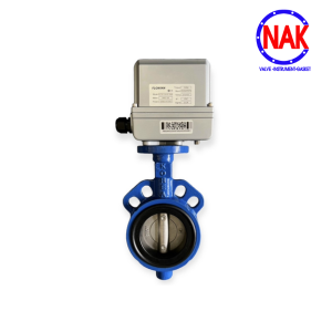 VAN BƯỚM ĐK ĐIỆN TUYẾN TÍNH