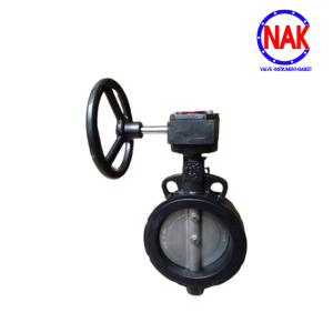 VAN BƯỚM TAY QUAY