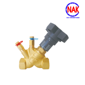 VAN CÂN BẰNG TĨNH (REN)