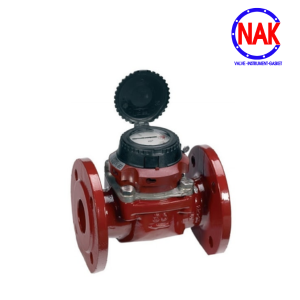 Đồng hồ nước nóng Sensus