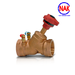 Van cân bằng tĩnh BSBV-100