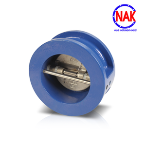 Van một chiều CV20-25